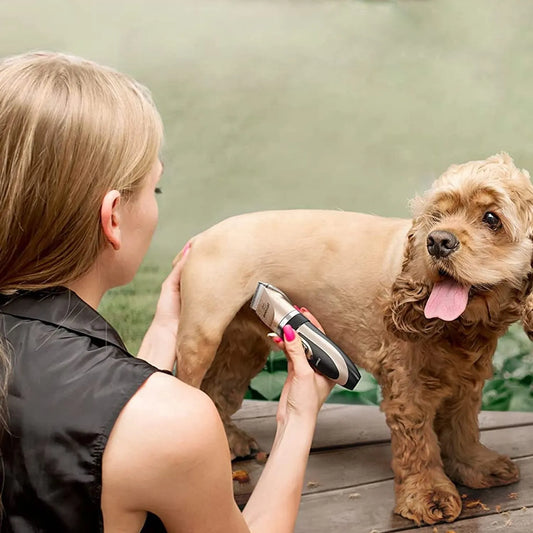 Kit de peluquería mascotas / Pocas unidades